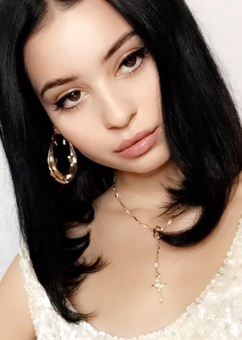 Alexa Demie as seen while looking glamorous in a picture in June 2017